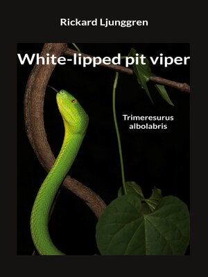 cover image of White-lipped pit viper